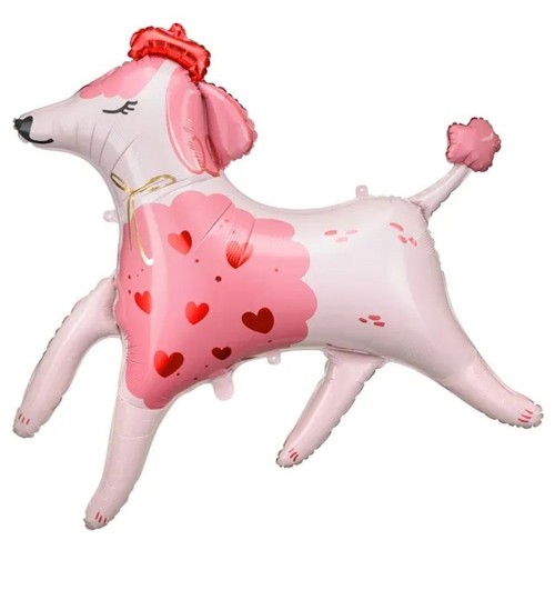 Poodle - 47 inch